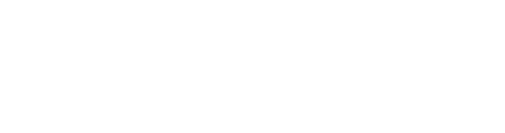 Arahan Solutions Pvt Ltd